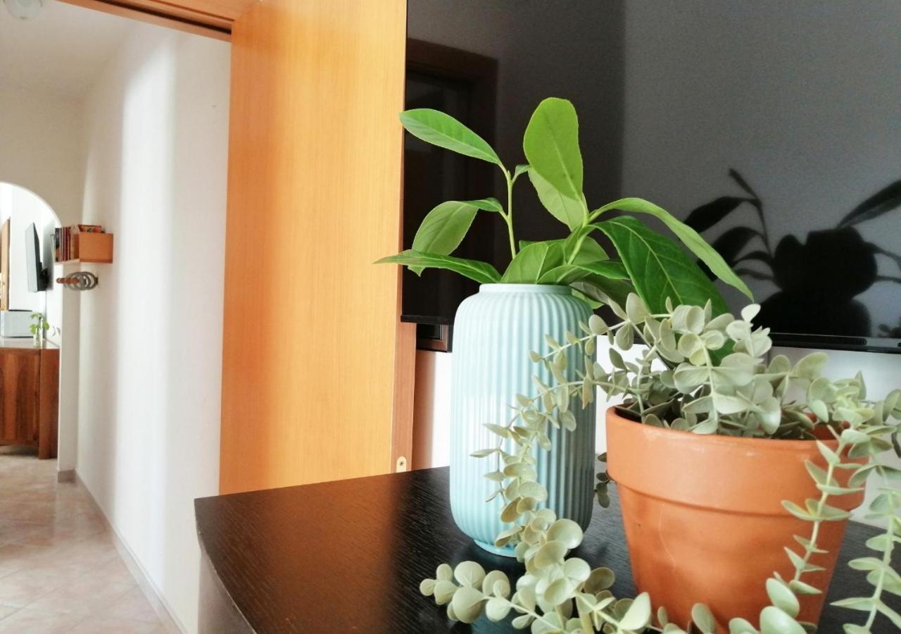 Holihome Il Giardino Dei Limoni 托尔托雷托 外观 照片